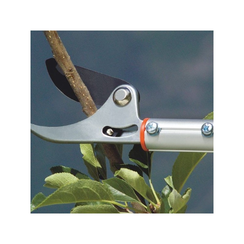 Sécateur Télescopique Réglable