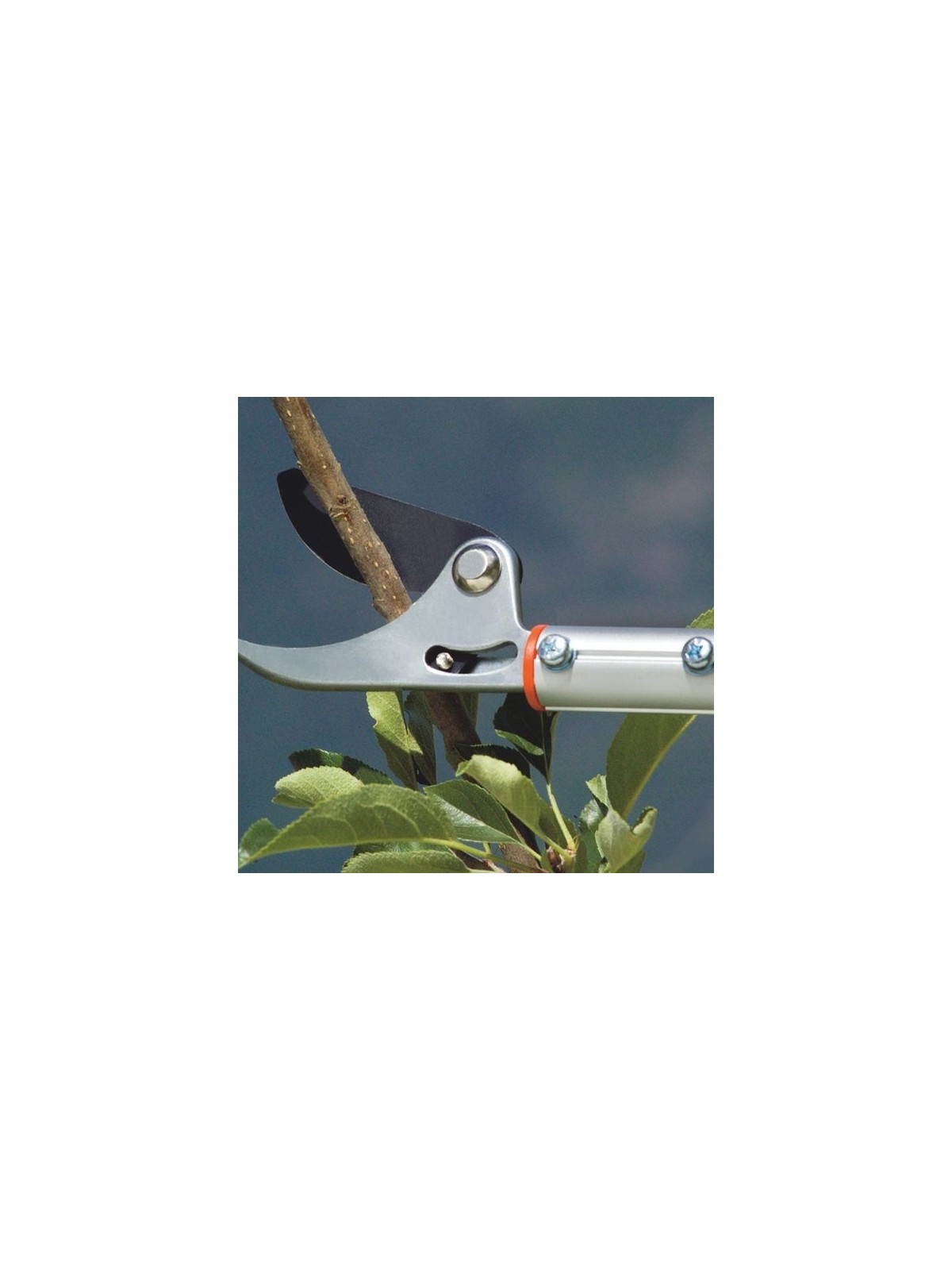 Sécateur Télescopique Réglable