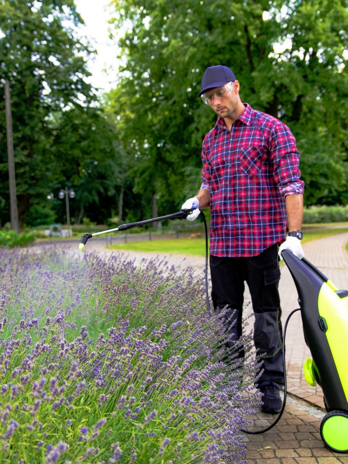 Marolex sur roulettes