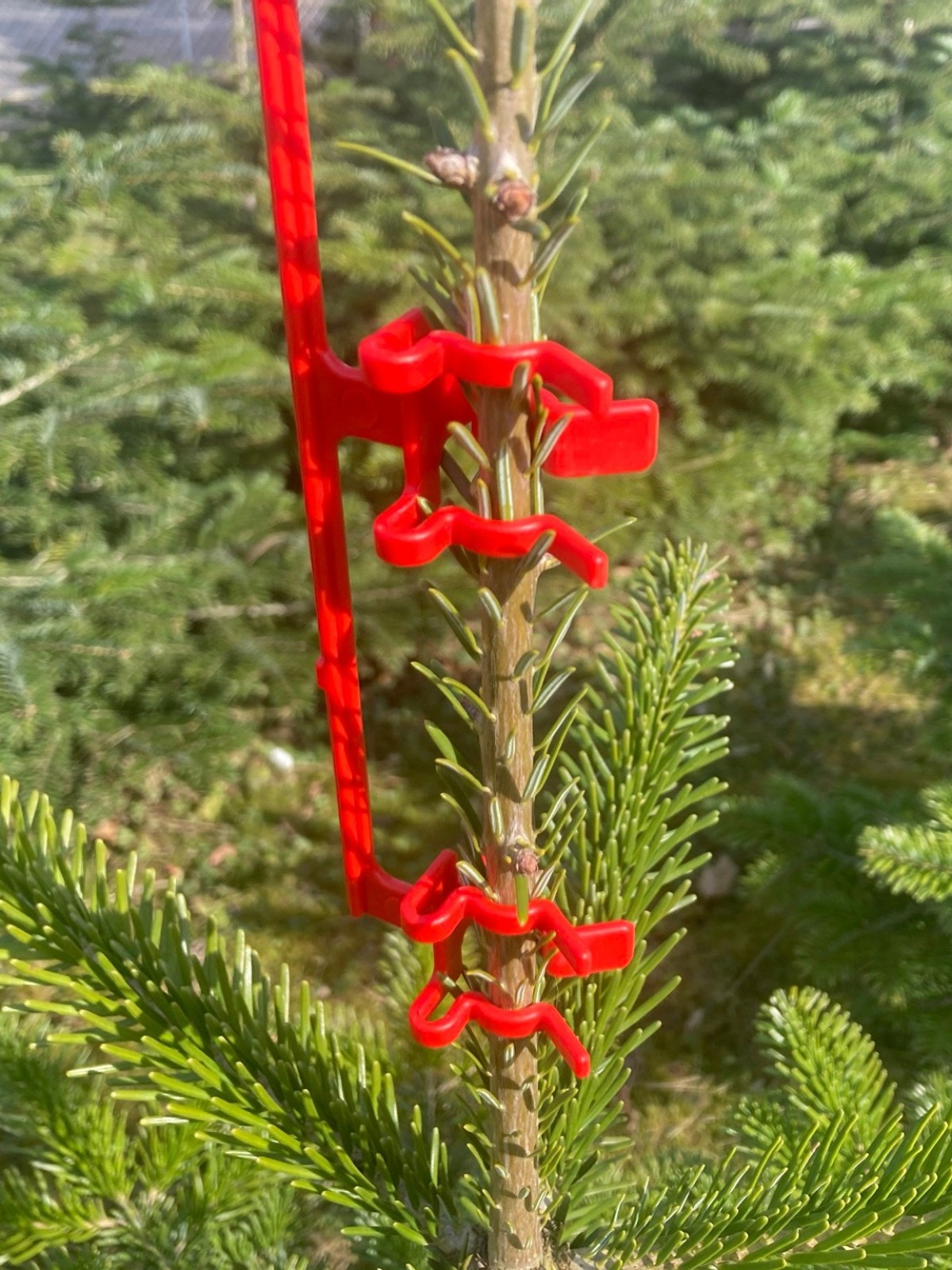 Protection pointe de sapin