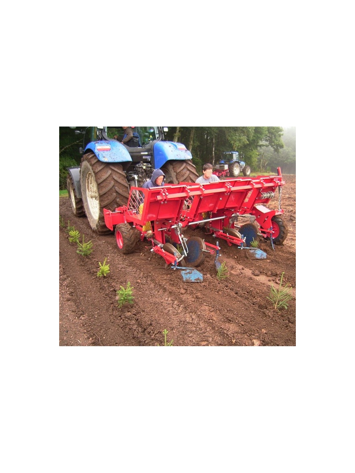 planteuse  grosse pin sapin de Noël