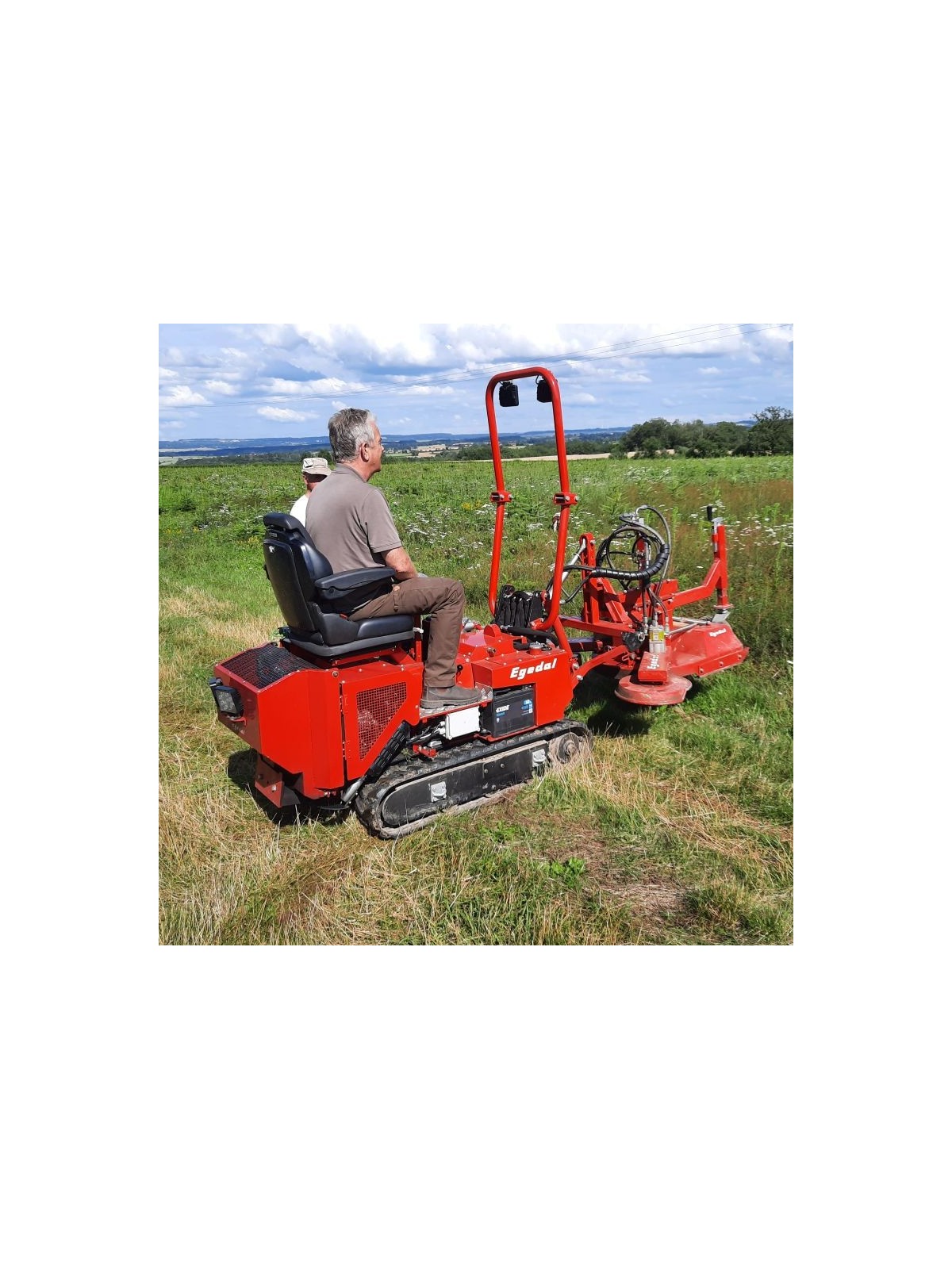 chenillard en culture sapin