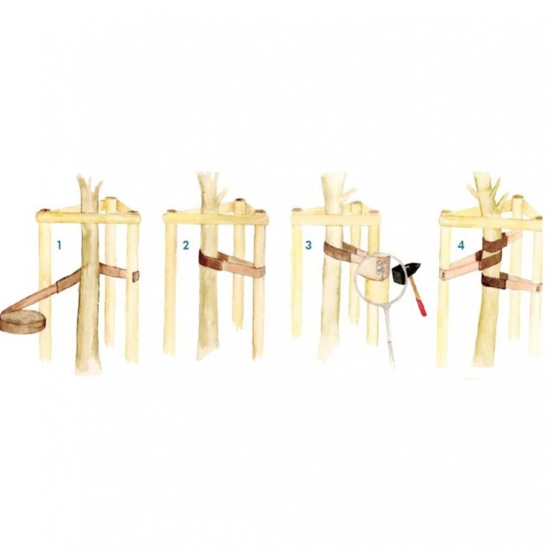 pose tuteurage gaine et bande