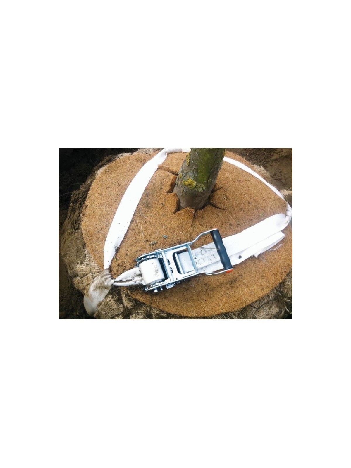 Ancrage biodégradable - arbre en motte