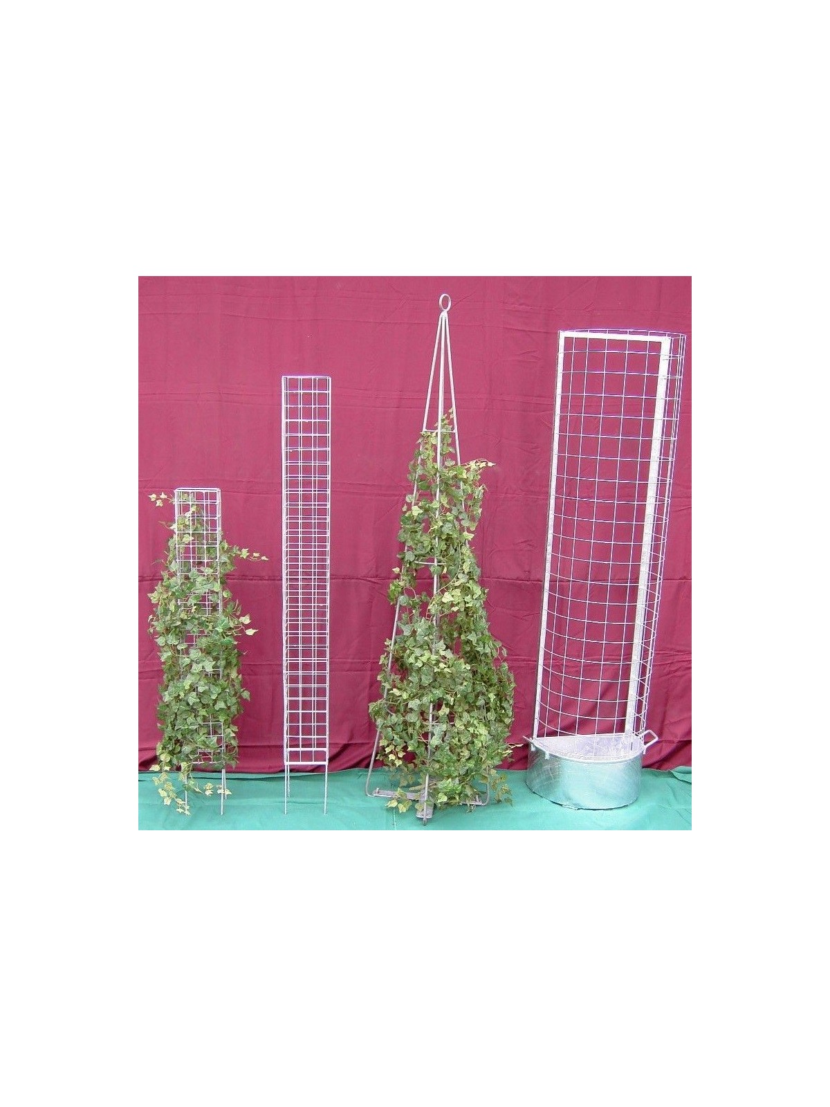 tuteurage de plantes