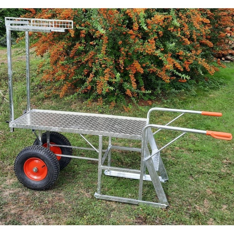 brouette escabeau coserwa