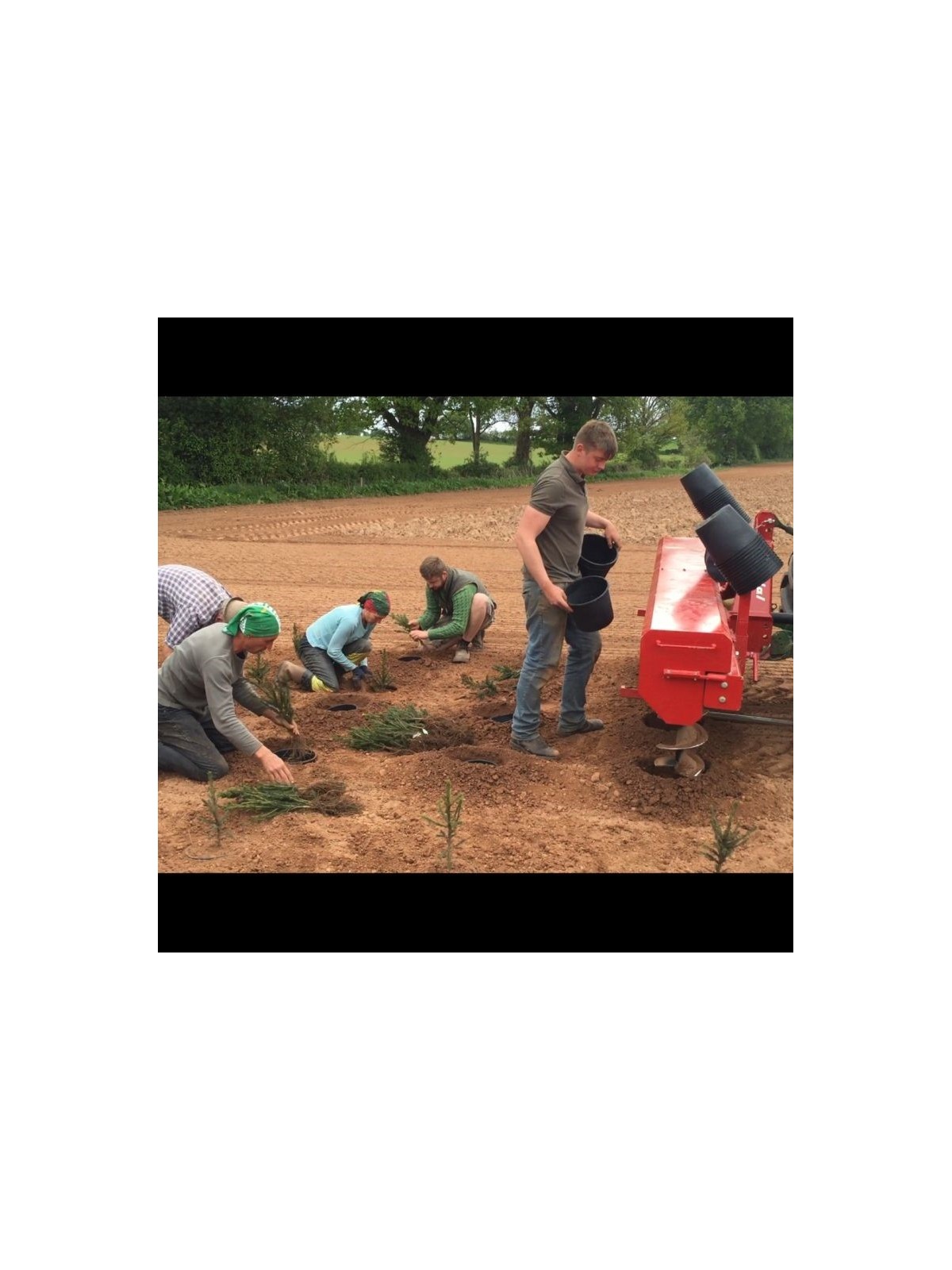 4 vrilles en culture_coserwa