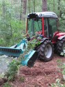 forestier en travail