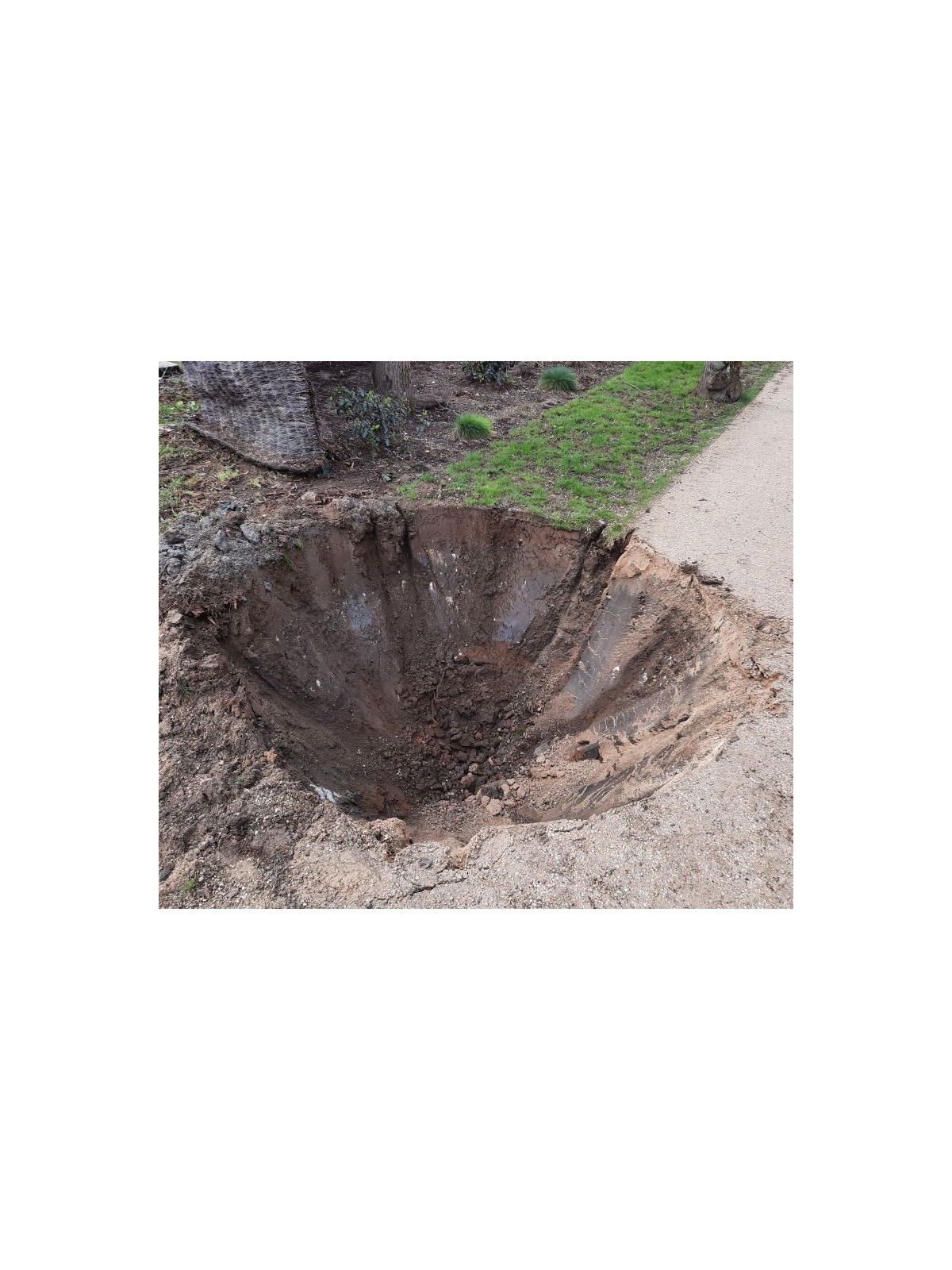 empreinte de plantation