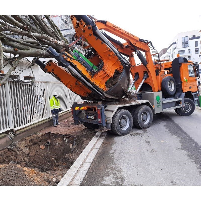 soulevement de la motte