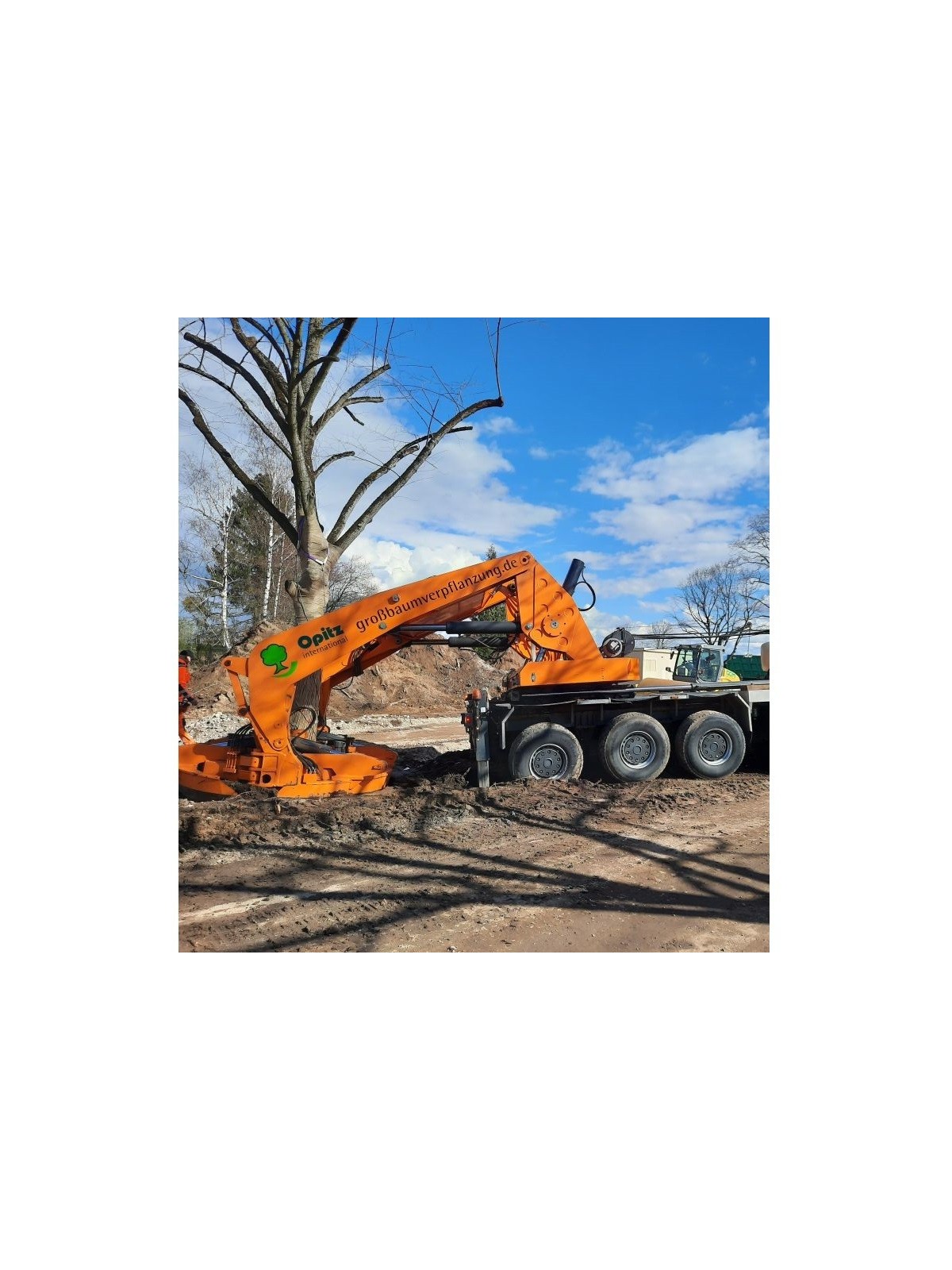 arrachage actionnement bêches