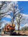 deplacement arbre sur camion