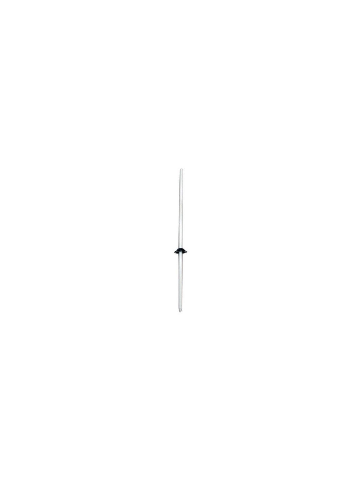 pic ancrage épouvantail rapace