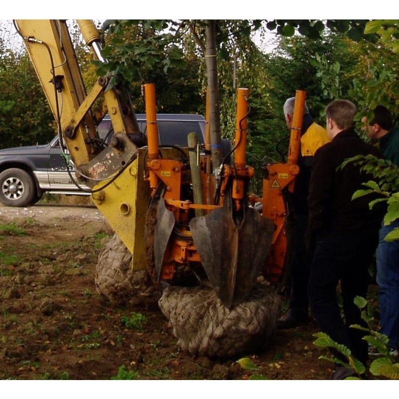 Optimal900 sur pelle