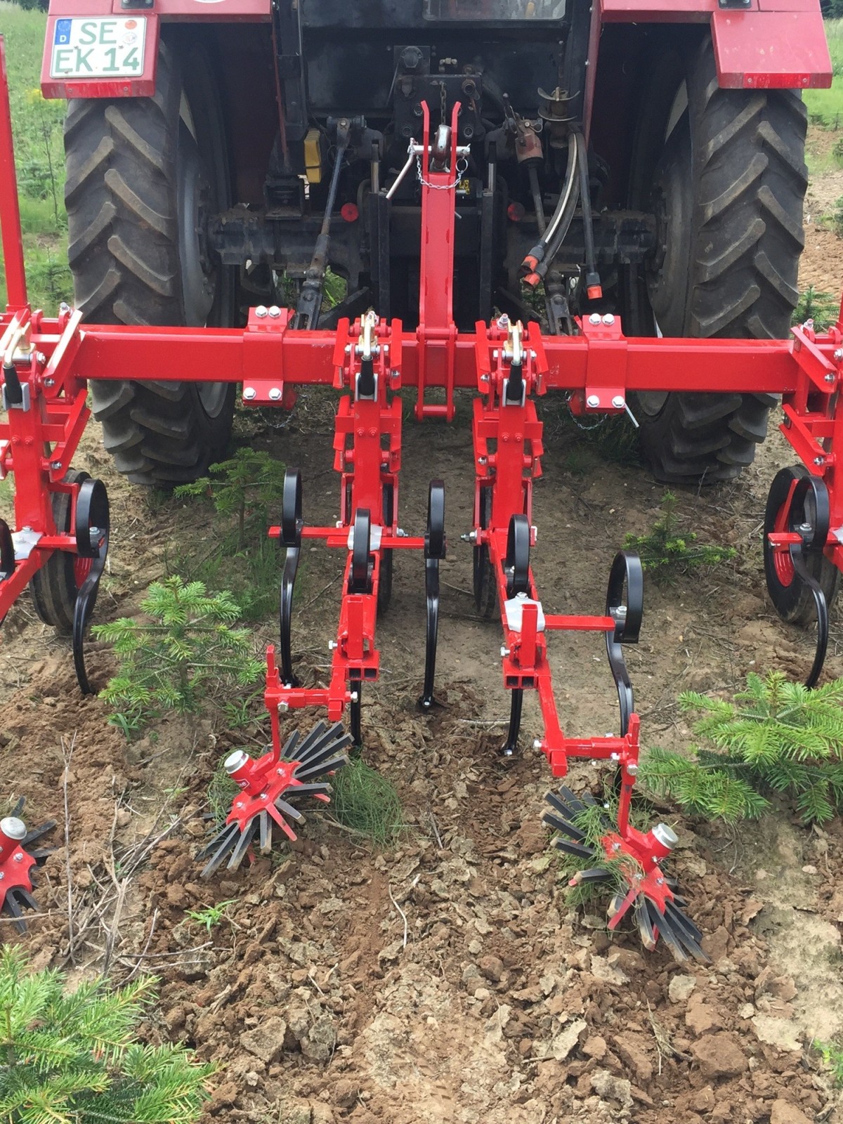 Bineuse à doigts dans culture de sapins