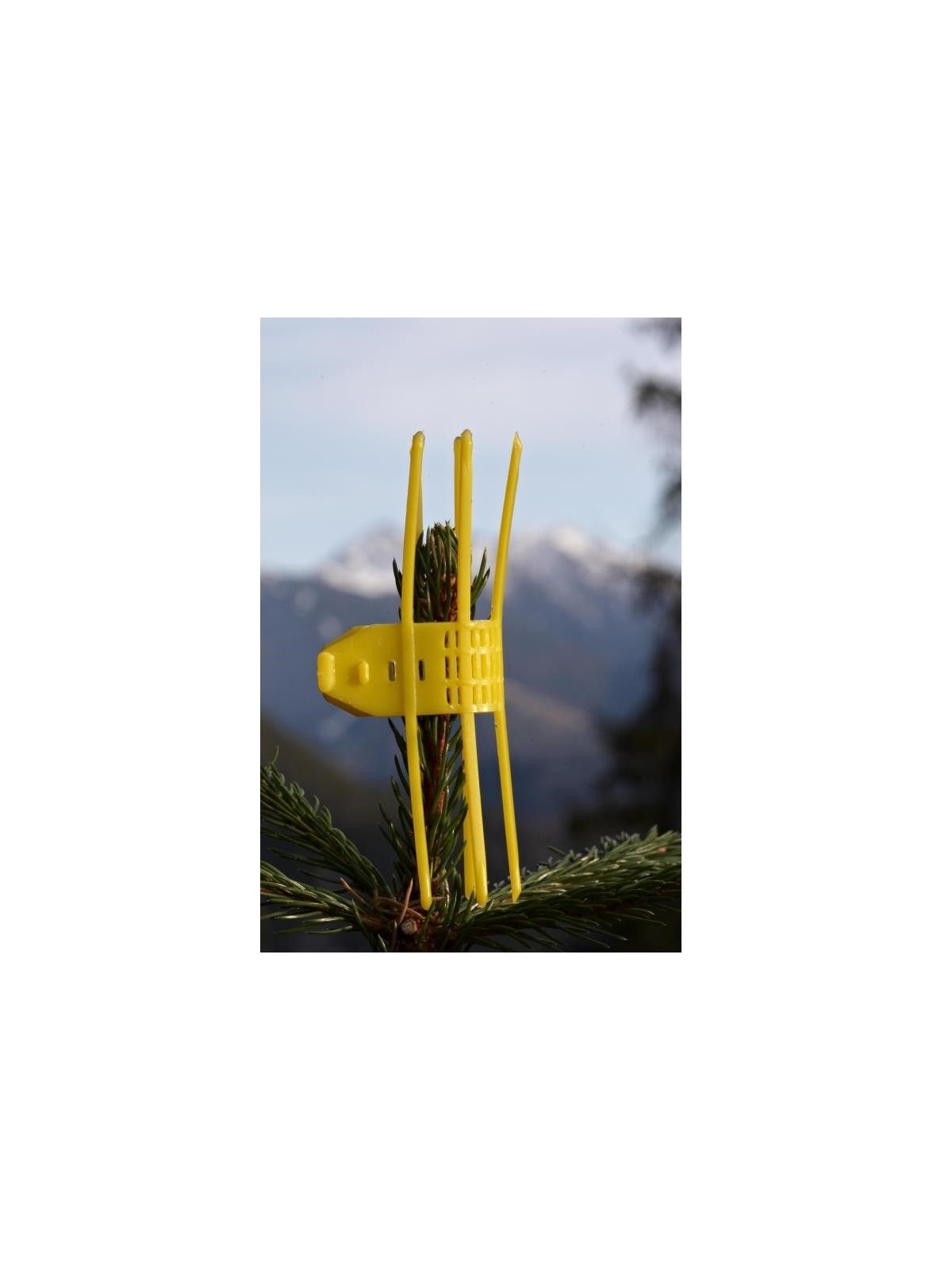 manchette de pointe jaune